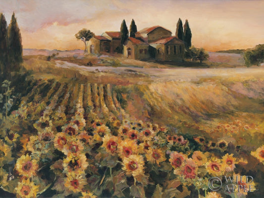Sunflowers In Italy Posters Prints & Visual Artwork