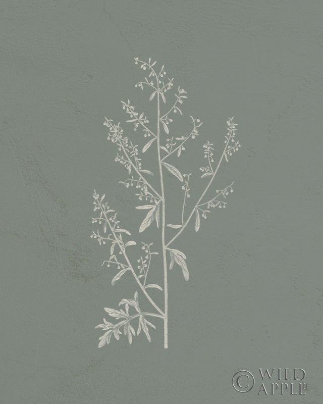 Reproduction of Gifts from the Meadow II Sage by Sarah Adams - Wall Decor Art