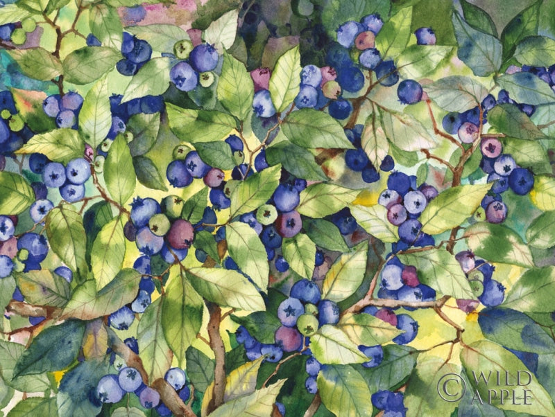 Reproduction of Blueberries by Kathleen Parr McKenna - Wall Decor Art