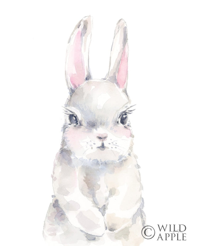 Reproduction of Baby Bunny by Katrina Pete - Wall Decor Art