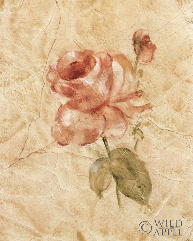 Reproduction of Rose on Cracked Linen by Cheri Blum - Wall Decor Art
