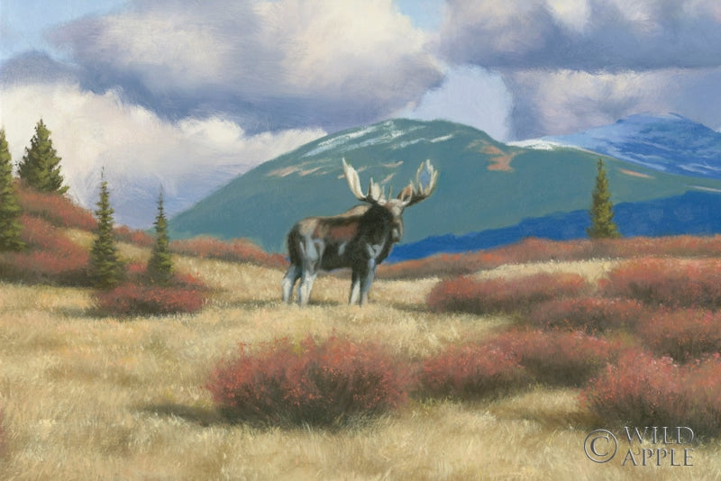 Reproduction of Northern Moose by Wellington Studio - Wall Decor Art