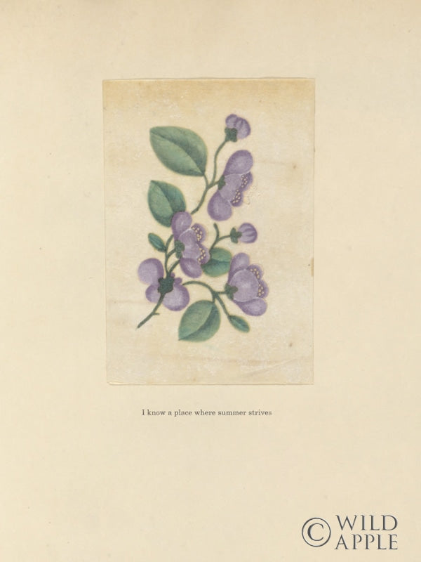 Reproduction of Textbook Floral Pastel by Wild Apple Portfolio - Wall Decor Art