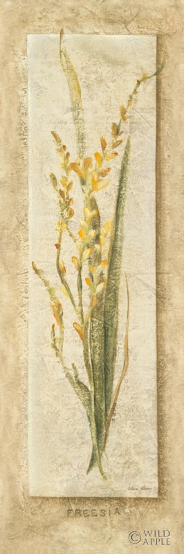 Reproduction of Freesia Panel by Cheri Blum - Wall Decor Art