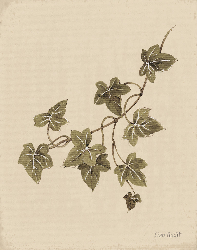 Reproduction of Ivy Leaves by Lisa Audit - Wall Decor Art
