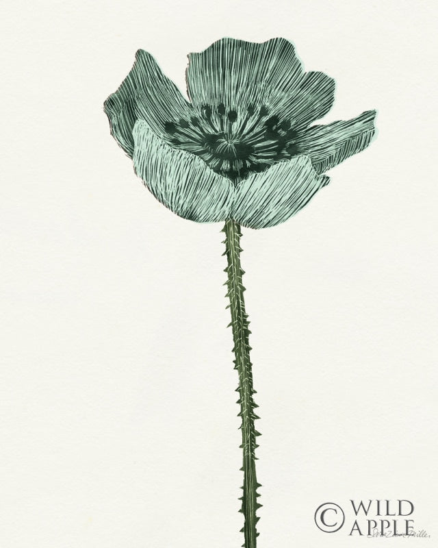 Reproduction of Springtime II Blue by Sara Zieve Miller - Wall Decor Art