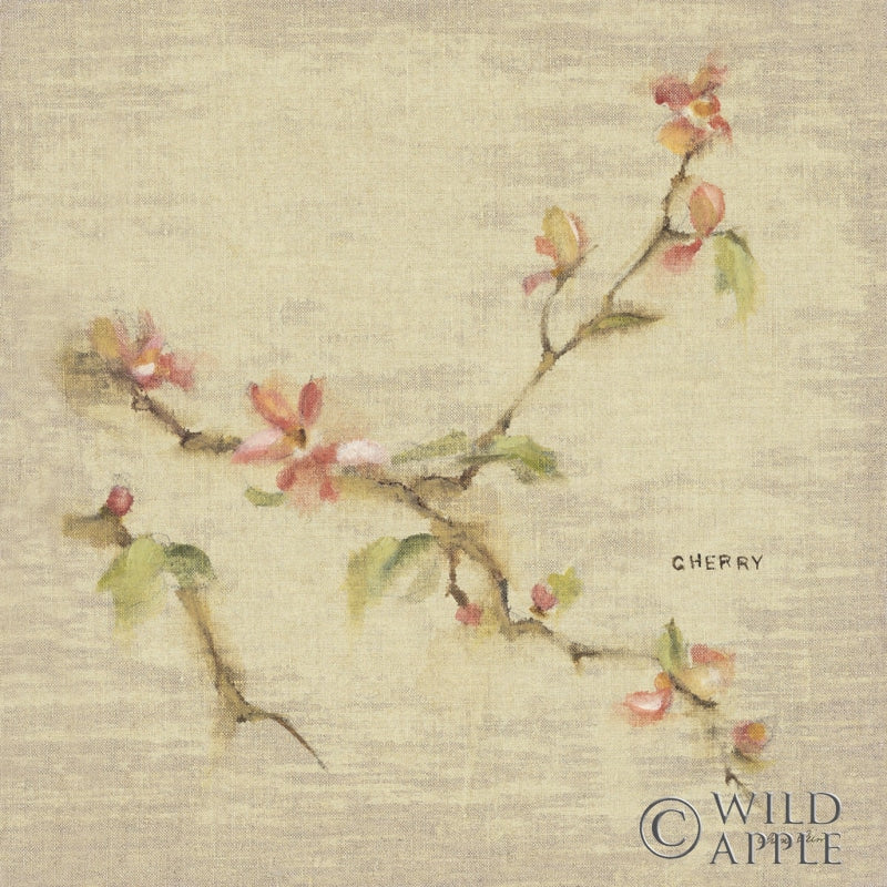 Reproduction of Cherry Blossom by Cheri Blum - Wall Decor Art