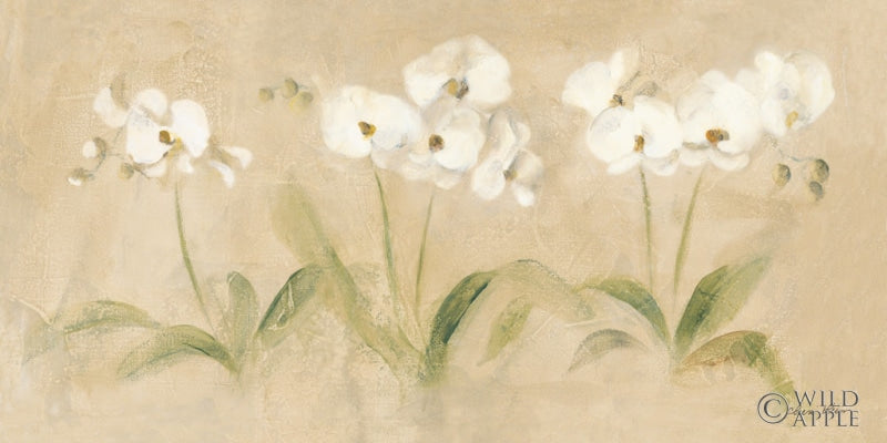 Reproduction of Row of White Orchids by Cheri Blum - Wall Decor Art
