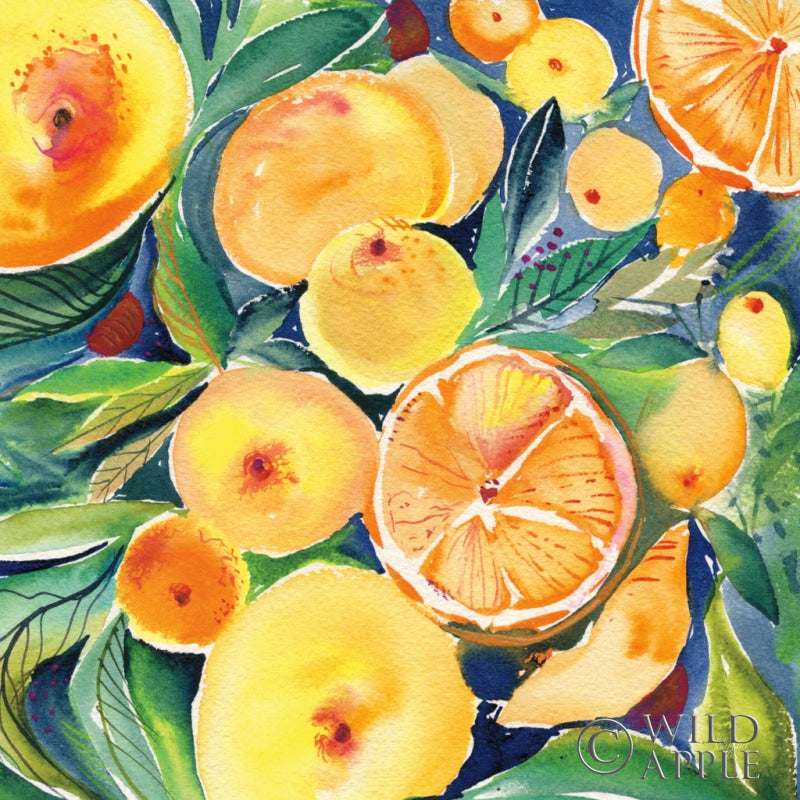 Reproduction of Summery Citrus by Kristy Rice - Wall Decor Art