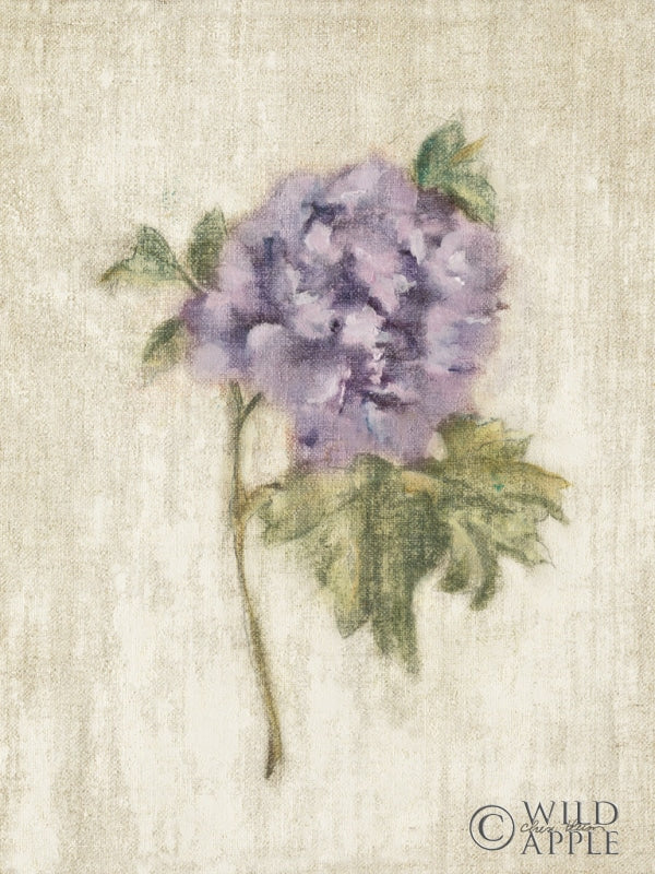 Reproduction of Light and Airy III by Cheri Blum - Wall Decor Art