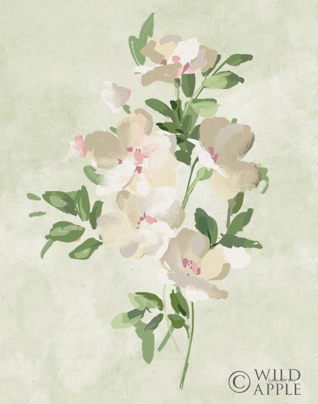 Reproduction of Impressionist Garden II by Danhui Nai - Wall Decor Art