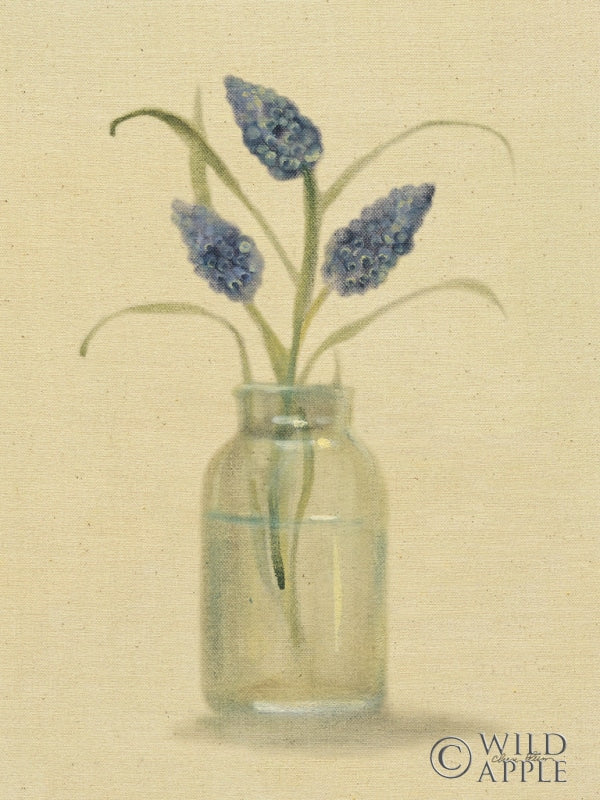 Grape Hyacinth In A Glass Vase Posters Prints & Visual Artwork