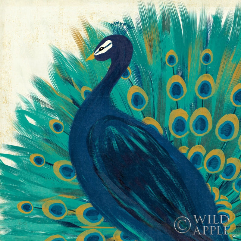 Reproduction of Proud as a Peacock II by Veronique Charron - Wall Decor Art