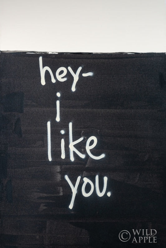 Hey I Like You Posters Prints & Visual Artwork