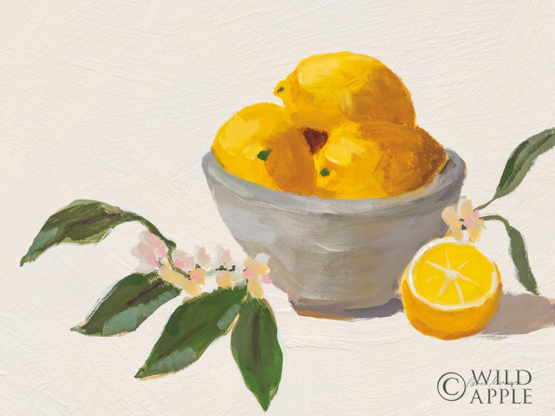 Lemons In Grey Bowl Texture Posters Prints & Visual Artwork