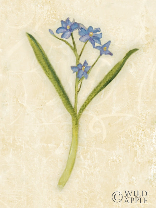 Reproduction of Forget Me Not Stem by Cheri Blum - Wall Decor Art