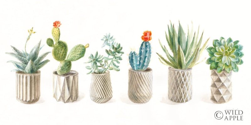 Reproduction of Desert Greenhouse XXI by Danhui Nai - Wall Decor Art