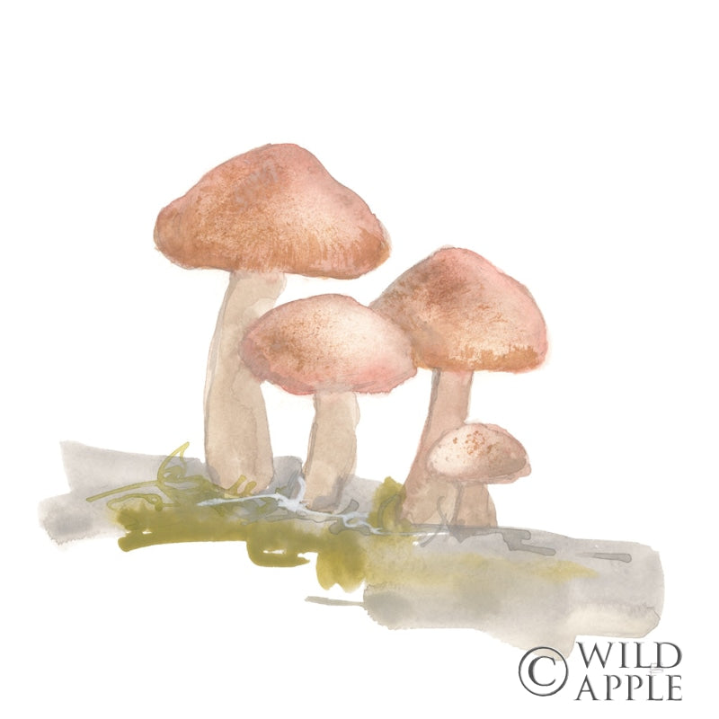 Mellow Mushrooms Ii Posters Prints & Visual Artwork