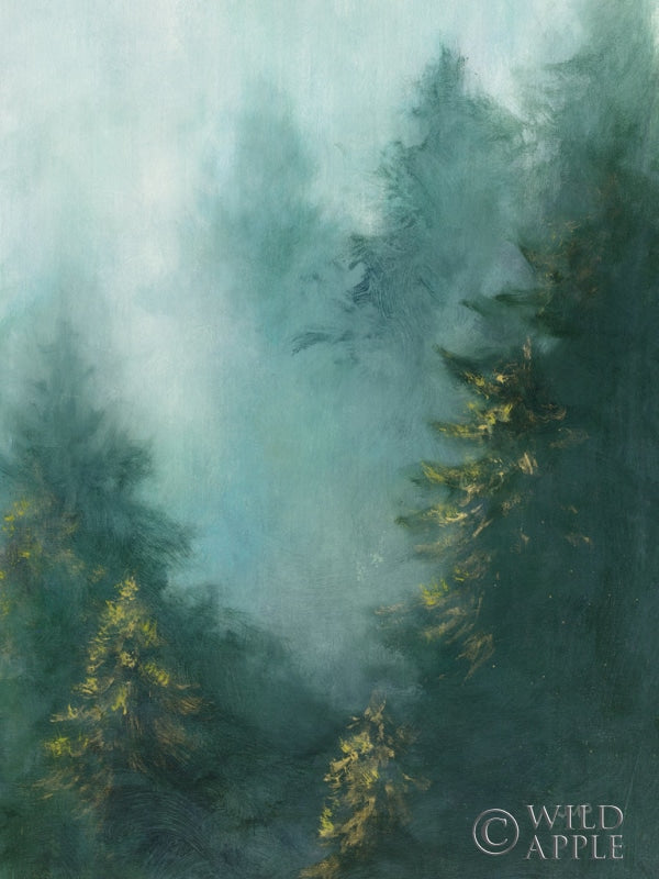 Misty Forest Iv Posters Prints & Visual Artwork