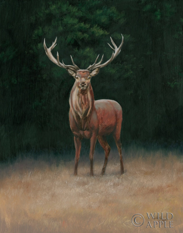 Reproduction of Stag by Wellington Studio - Wall Decor Art
