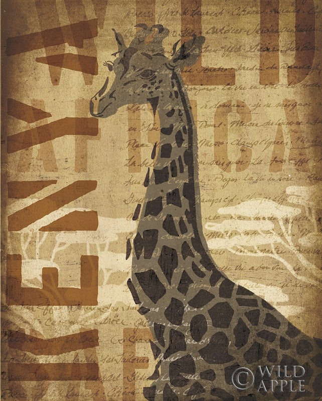 African Giraffe Posters Prints & Visual Artwork