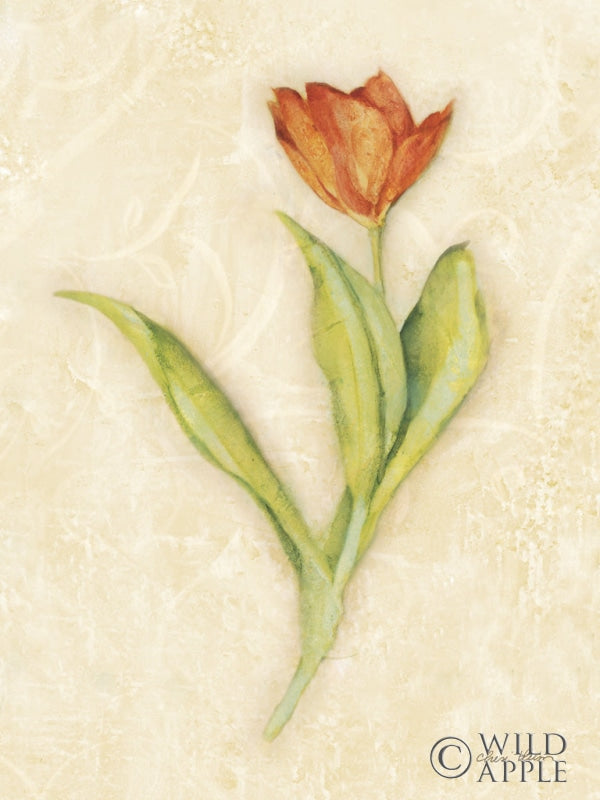 Reproduction of Red Tulip Stem by Cheri Blum - Wall Decor Art