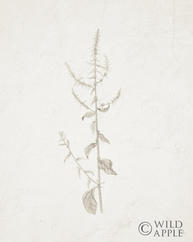 Reproduction of Gifts from the Meadow VI by Sarah Adams - Wall Decor Art