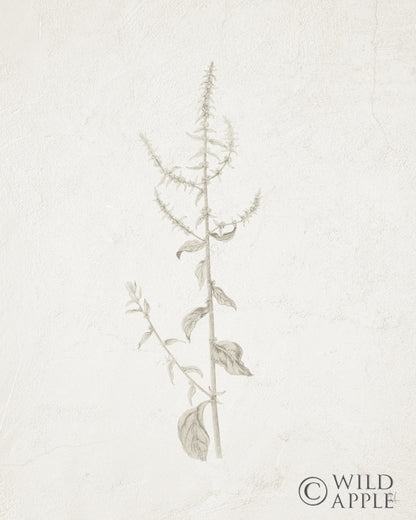 Reproduction of Gifts from the Meadow VI by Sarah Adams - Wall Decor Art