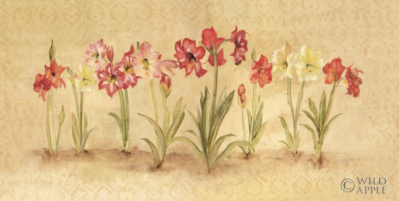 Reproduction of Summertime Amaryllis by Cheri Blum - Wall Decor Art