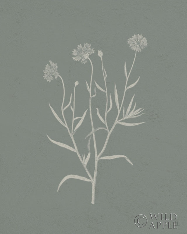 Reproduction of Gifts from the Meadow V Sage by Sarah Adams - Wall Decor Art