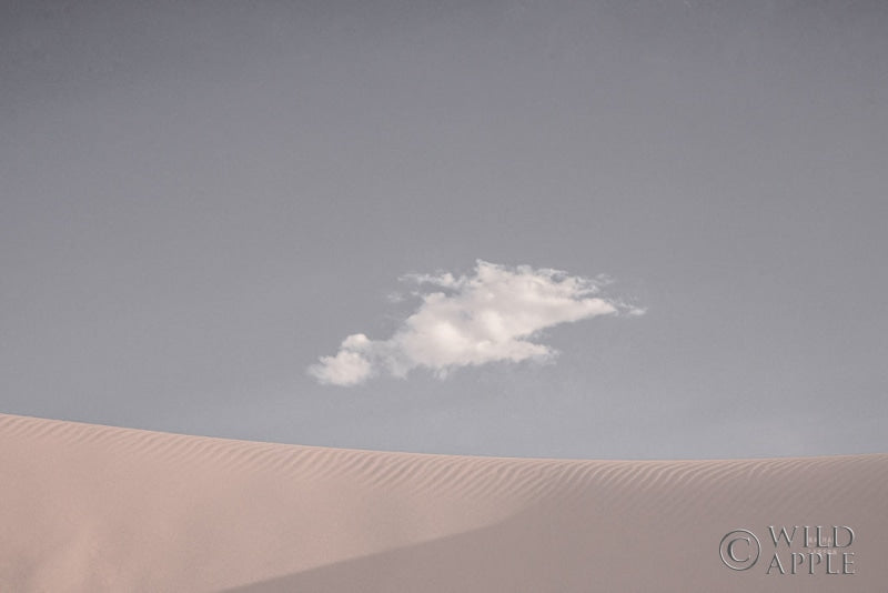 Reproduction of White Sands Neutral by Nathan Larson - Wall Decor Art