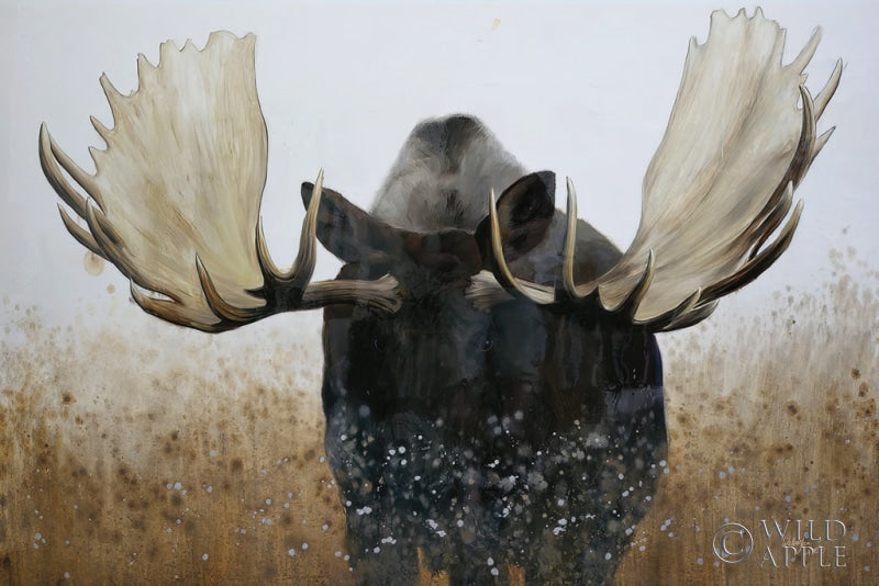 Reproduction of Moose by Wellington Studio - Wall Decor Art