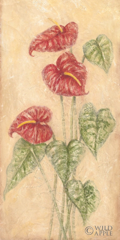 Reproduction of Tropical Flowers IV by Cheri Blum - Wall Decor Art