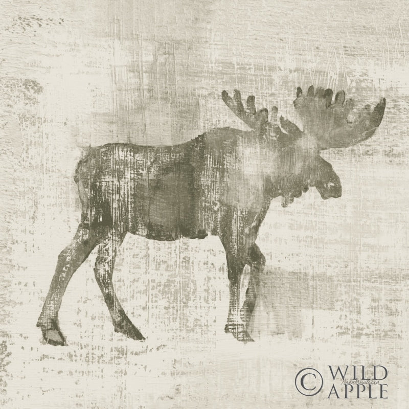 Cabin Moose Study Posters Prints & Visual Artwork