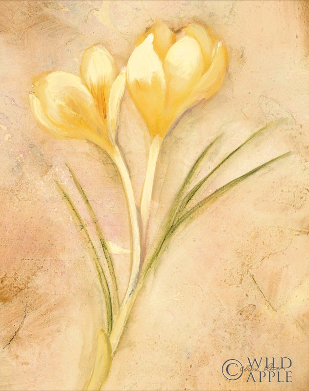 Reproduction of Yellow Crocus by Cheri Blum - Wall Decor Art