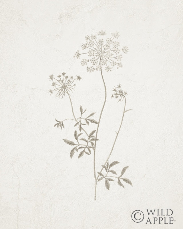 Reproduction of Gifts from the Meadow III by Sarah Adams - Wall Decor Art