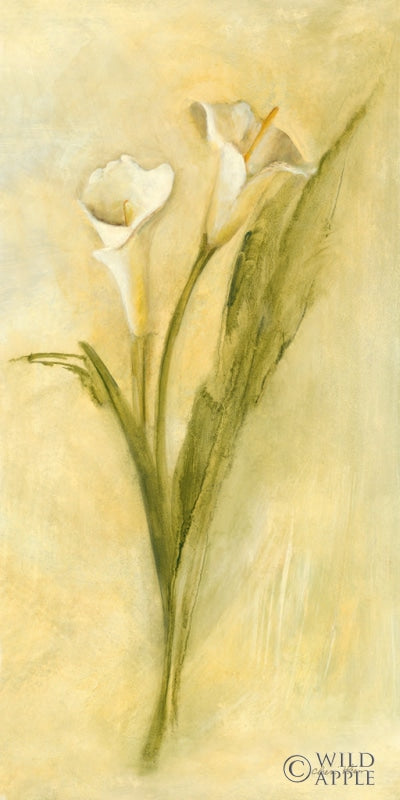 Reproduction of Graceful Calla Lilies I by Cheri Blum - Wall Decor Art